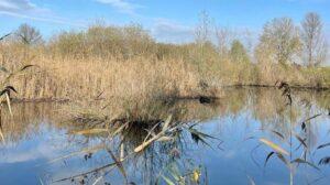 Primavera delle Oasi: il WWF apre 871 aree protette